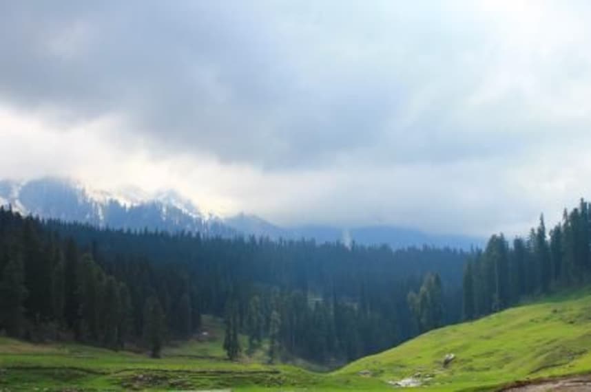 Gulmarg Meadows_5